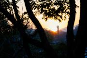 Top Dehradun