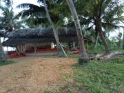 Paddy Villa