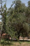 Top Trevignano Romano