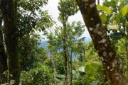 Top Thekkady Top Thekkady