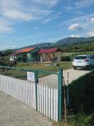 Top Pirot