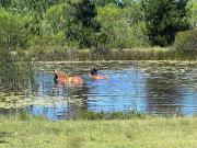 Top Plettenbergbaai