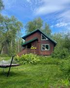 Top Talkeetna