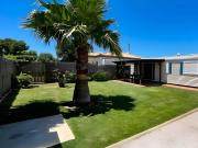 Top El Palmar