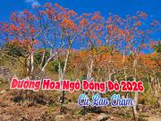 Top Tân Hiệp Top Tân Hiệp