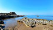 Top Punta Braccetto