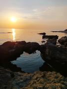 Top Punta Braccetto