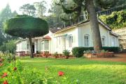 Top Ooty