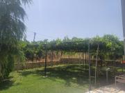 Hamit House Vacation