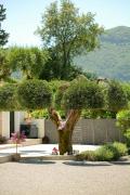 Top Gastourion