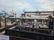 Top Mola di Bari