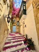 Top Cospicua
