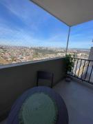 Top Viña del Mar