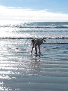 Top Paternoster