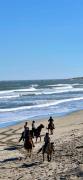 Top Paternoster