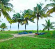 Top Mararikulam