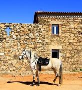 Top Monforte da Beira