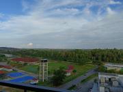 Top Bandar Penawar