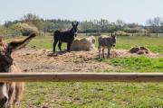Top Vierzon