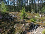 Top Ramsjö
