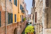 Top Venice