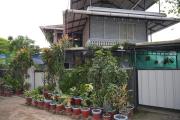 Top Alleppey