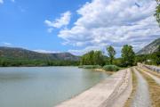 Top Tribalj