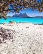 Top Porto Taverna