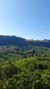 Top Vagamon