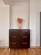 Spacious and stylish apartment near the center