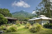 Top Kintamani