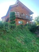 Top Lazeshchyna
