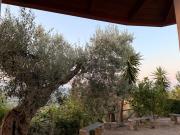 Top San Demetrio Corone