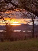 Top Bolsena