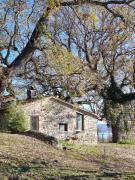 Top Bolsena