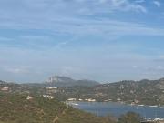 Top Cugnana Verde