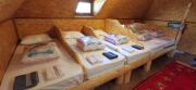Pinetrees Lodge Hostel