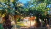 Top Pomancillo
