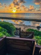 Top Laie