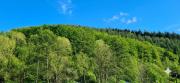Top Grandfontaine