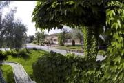 Top Tropea
