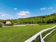Top Paitone