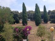 Top Terracina