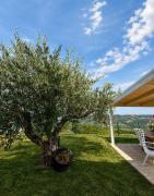 Top Casacanditella