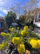 Top San Miguel de Abona