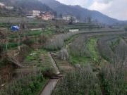 Top Solan
