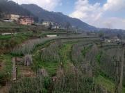 Top Solan
