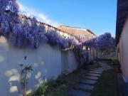 Top Mouzillon