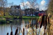 Top Chislehurst