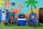 Top Palm Harbor